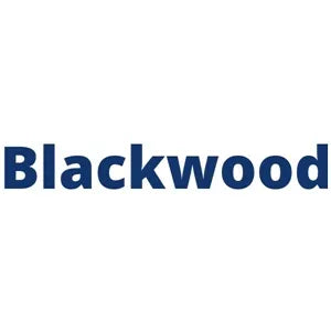 Lincoln Blackwood Key Fobs