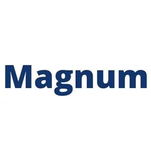 Dodge Magnum Key Fobs - Remotes And Keys